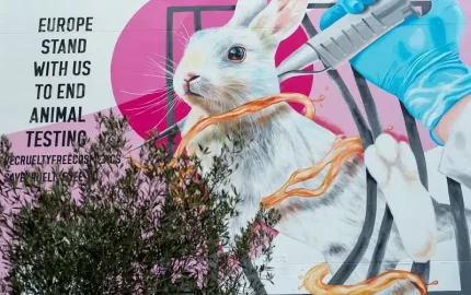 The Body Shop goes into administration in UK