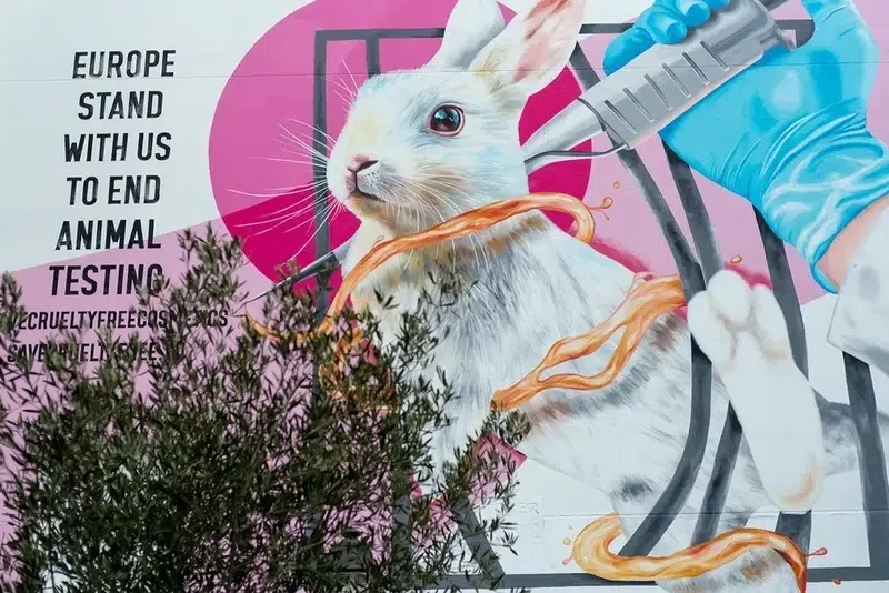 The Body Shop goes into administration in UK
