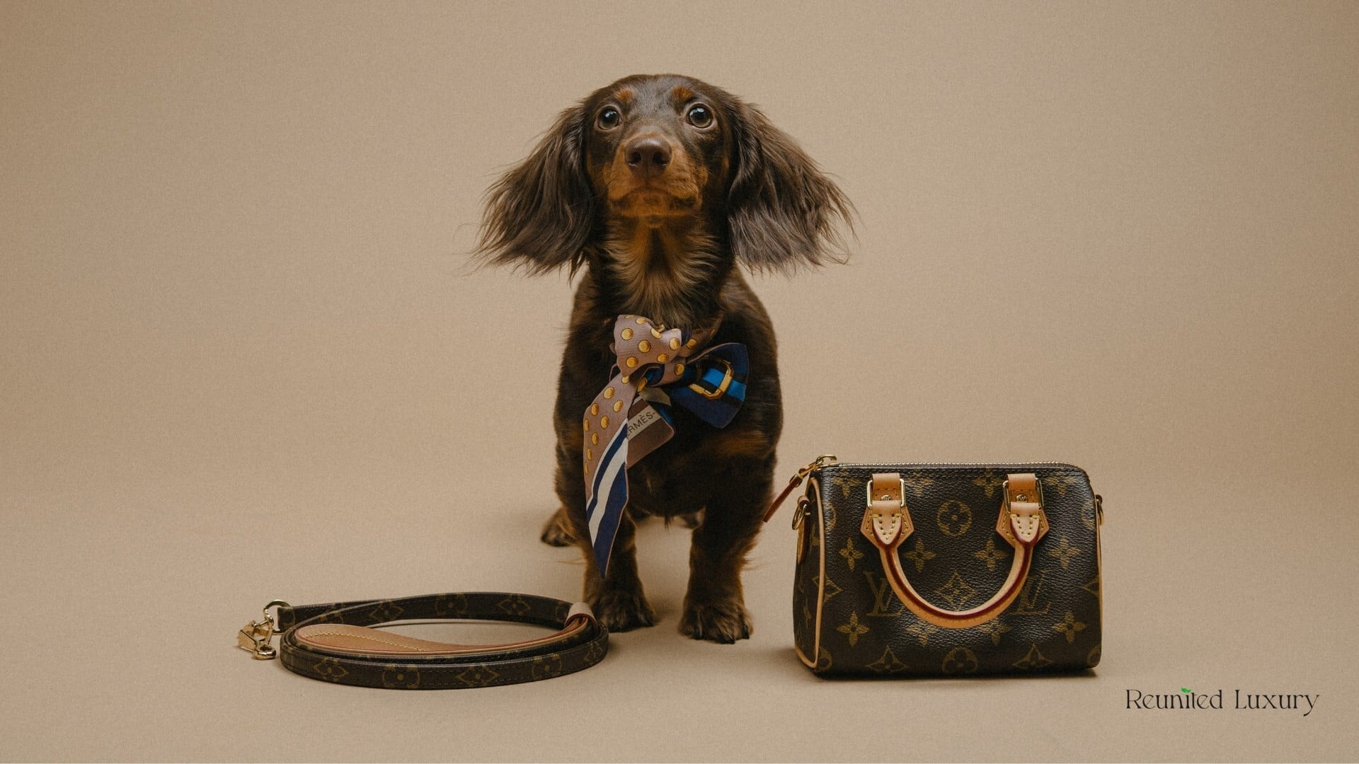 Reunited Luxury Partners with FACE Foundation to Support Life Saving Pet Care