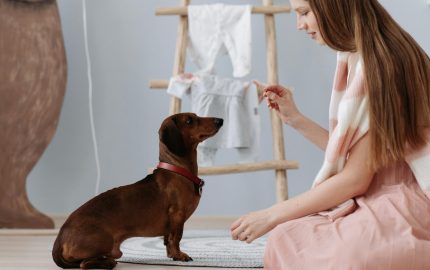Gen Z's Pet Obsession Fuels $150 Billion Retail Pet Care Boom