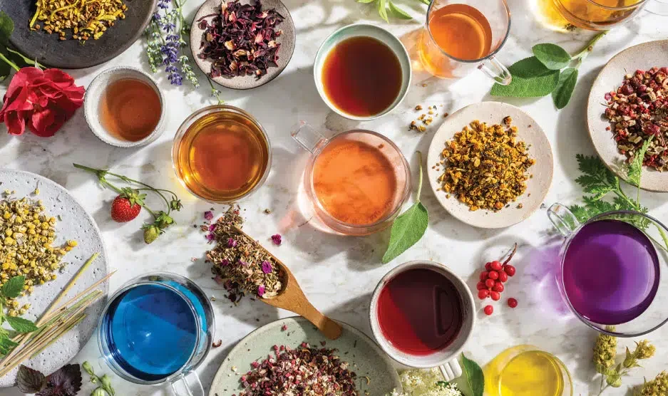 The Best Tea 2024