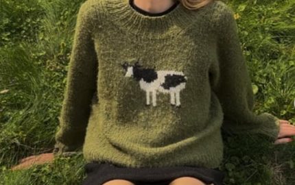 Shein Accused Again of Design Theft as Designer’s Instagram Reel Sparks Global Outcry