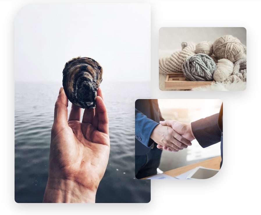 Seawool® and Cotton Blend Launches New Era of US Sustainable Fashion