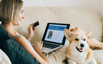 US Retail E-commerce Sales To Surpass $145 Billion Dollars