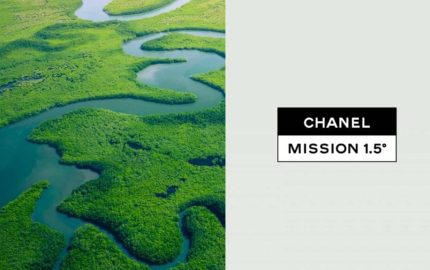 Most Sustainable Luxury Brands Worldwide, by customers opinion (Ranking)