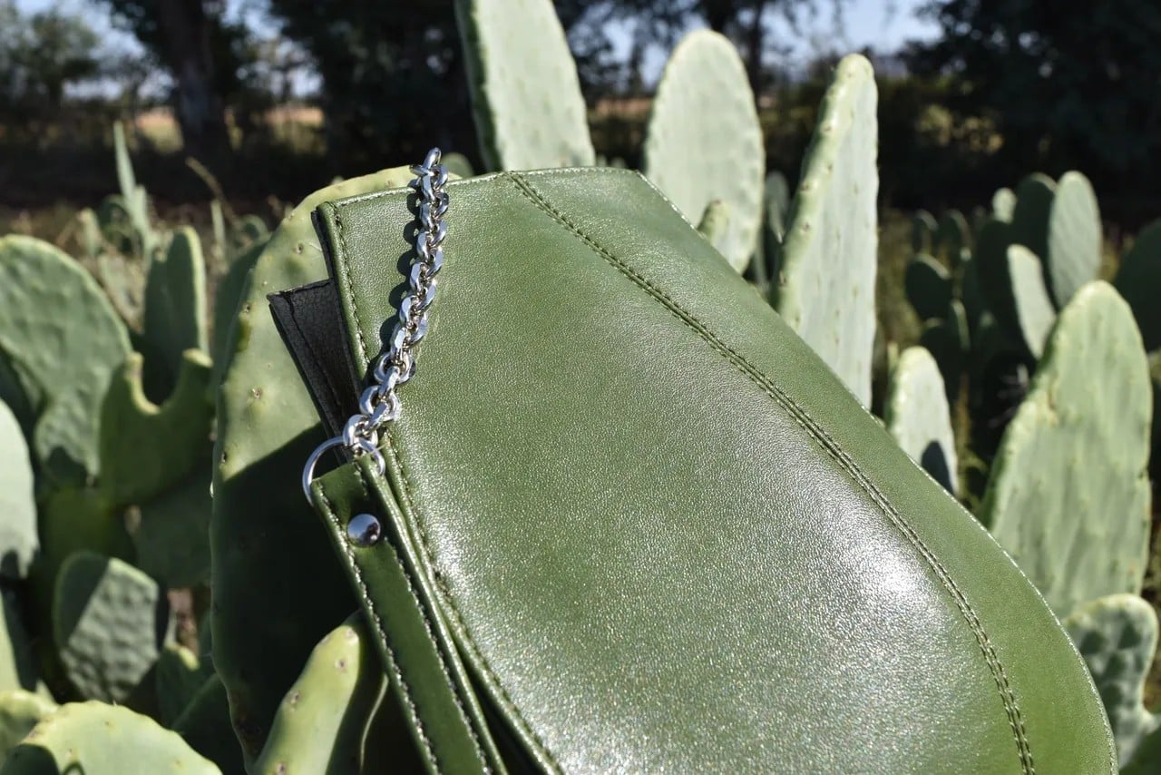 Desserto brings cactus-based vegan leather from Mexico to global fashion
