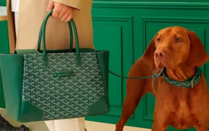 Here's Why You Can't Buy Goyard Online