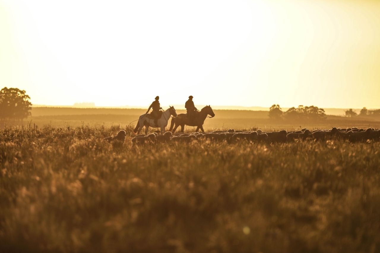 Inside Gucci's Regenerative Farming Initiative That is Reshaping Sustainability From the Soil Up