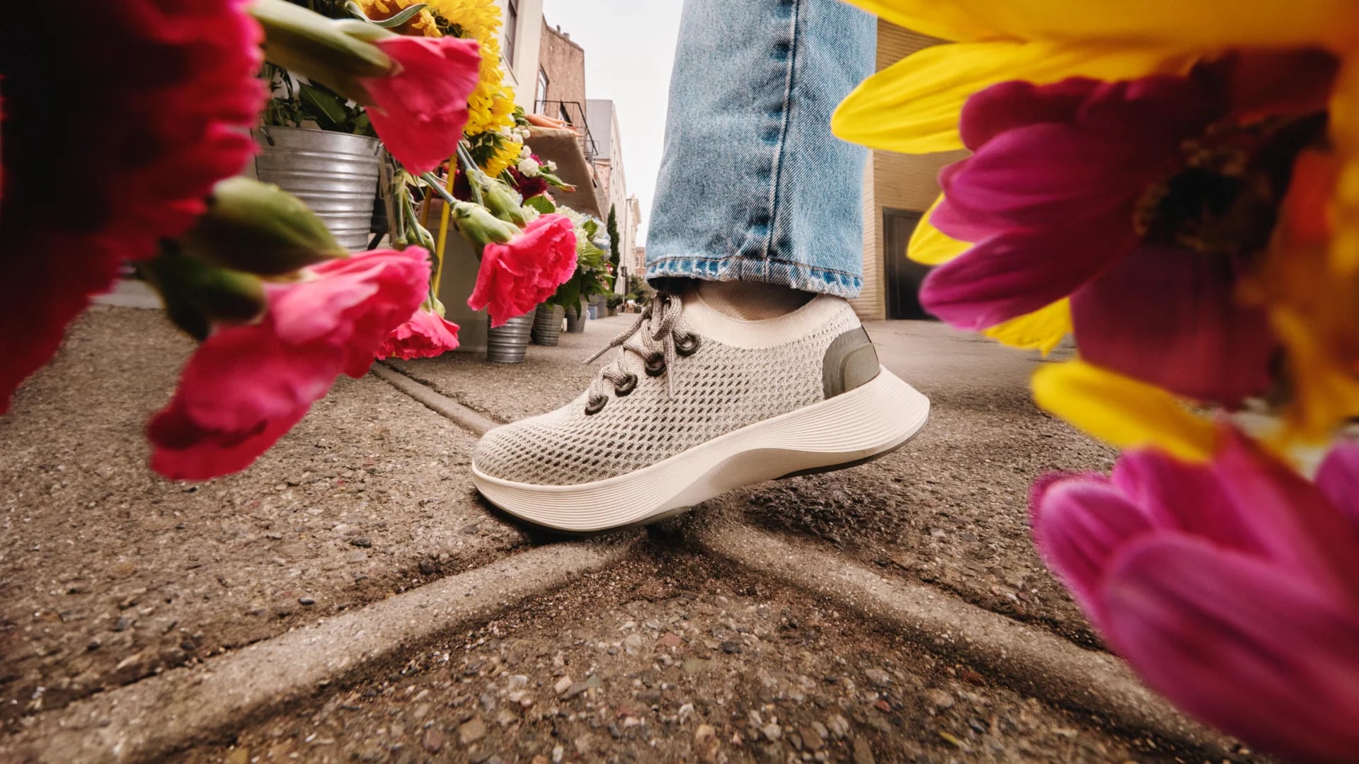 Allbirds, once valued at $4 Billion, Is Selling All Its Assets to American Exchange Group for $39 Million