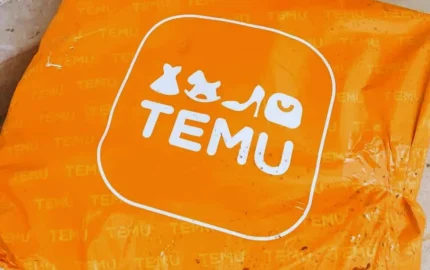temu fashion law