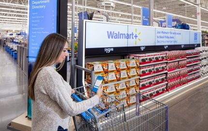 What is a Big-box Retailer?