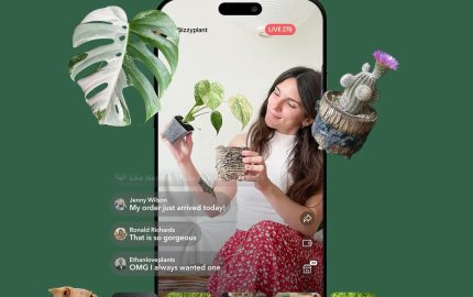 Palmstreet Crosses 3 Million Orders Bringing Live Shopping and Rare Finds to Main Street