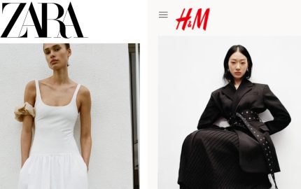 H&M and Zara Linked to Illegal Deforestation in Brazil