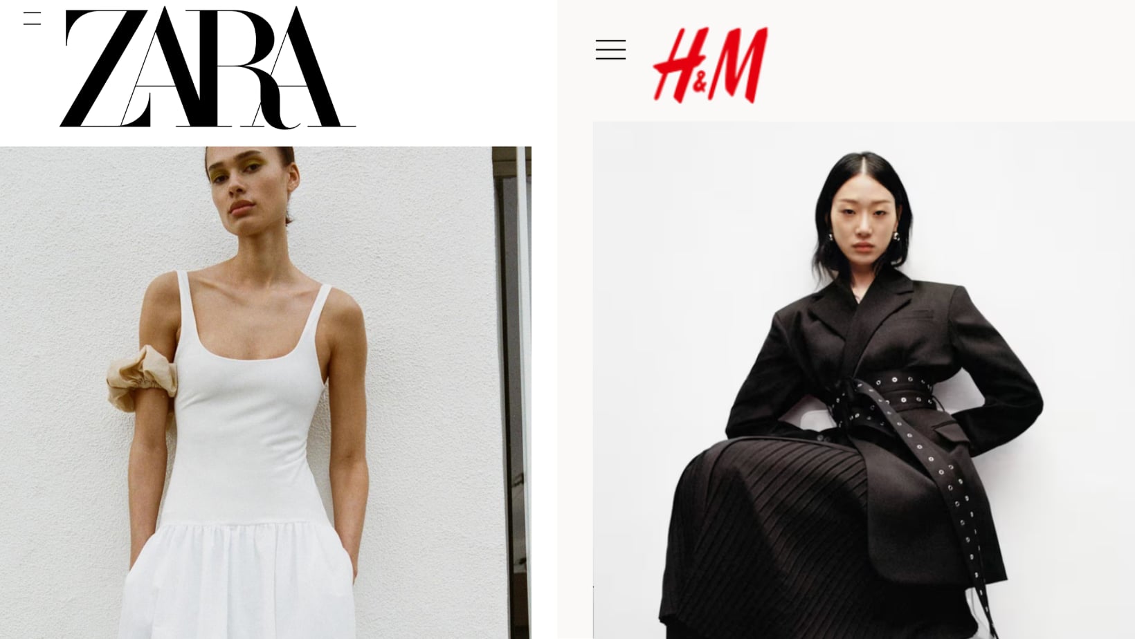 H&M and Zara Linked to Illegal Deforestation in Brazil